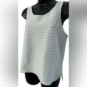 Express | NWOT Wide Sheer Sleeveless Blouse. Light horizontal stripes